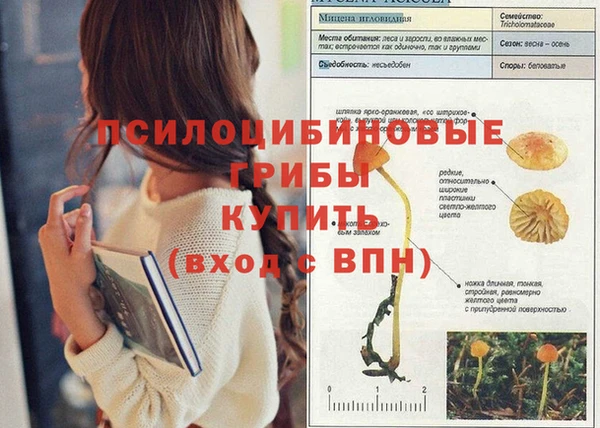 гидропоника Беломорск
