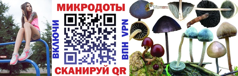 Галлюциногенные грибы Psilocybine cubensis  Купить  Бавлы 