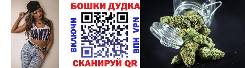 Купить  Бавлы  Канабис индика 